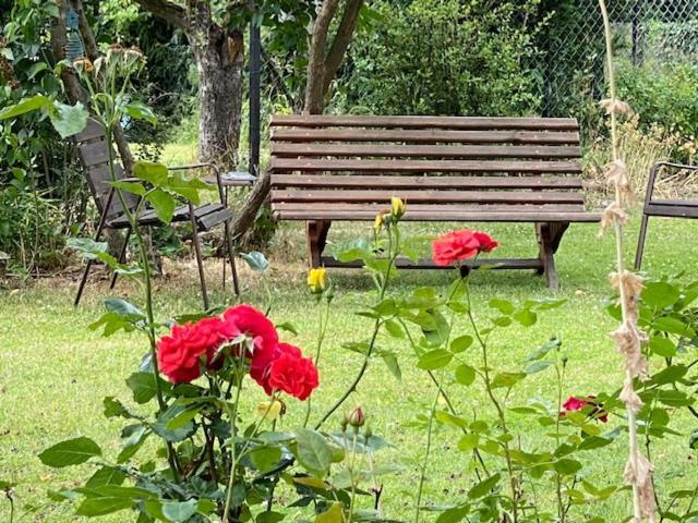 Ferienwohnung Wegener Neetze エクステリア 写真